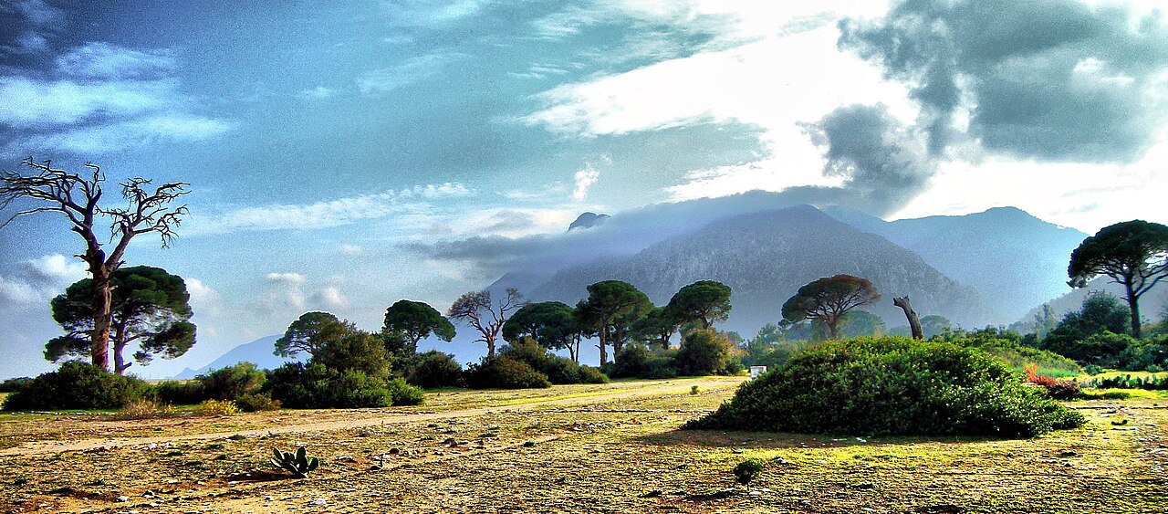 Photograph of Olympos and Çıralı, Antalya